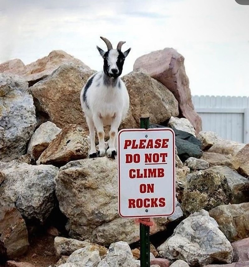 Do NOT climb on the Rocks